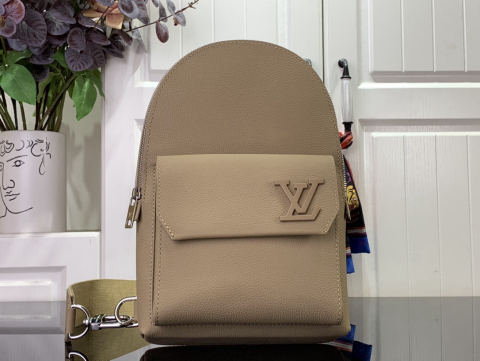 LV Pilot Aerogram