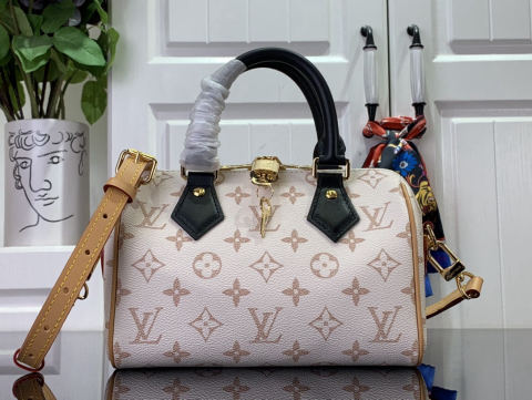 LV Speedy20