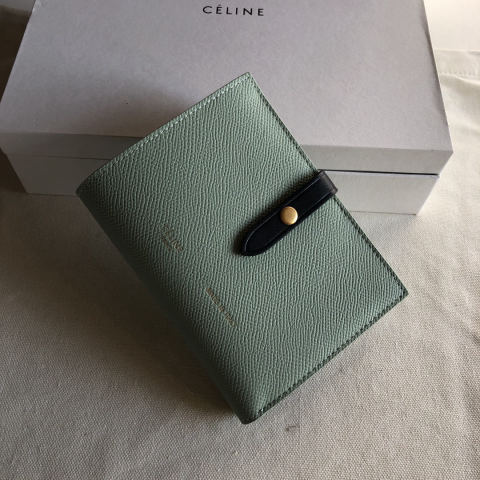 Celine Light Blue Palm Print
