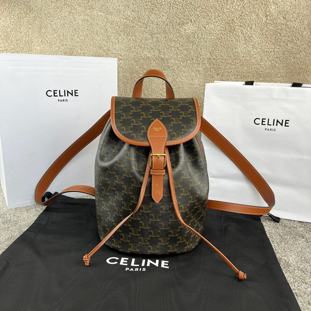 Celine Triomphe Canvas
