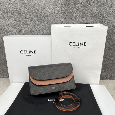 Celine Triomphe Canvas