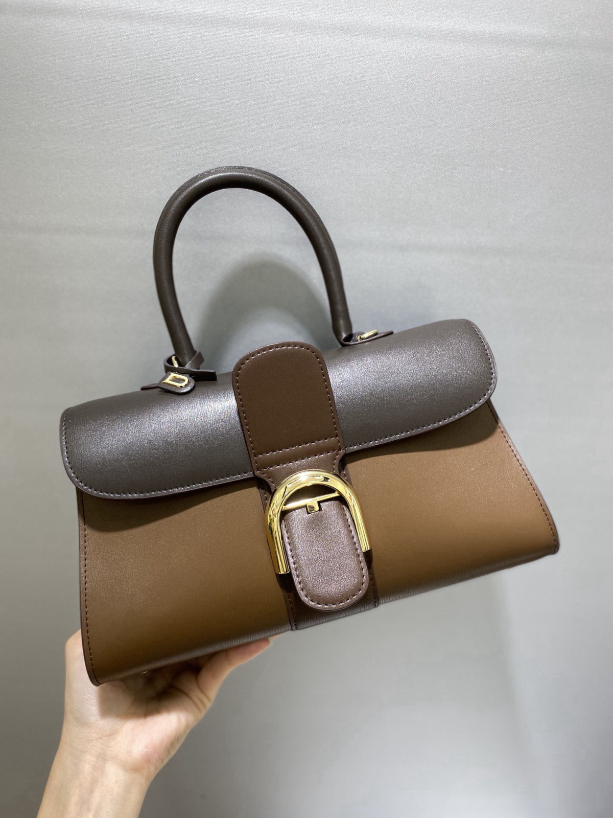 Delvaux brillant