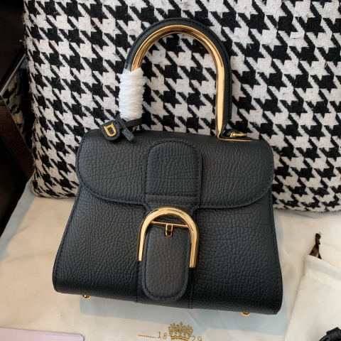Delvaux Brillant Mini Metal Glam