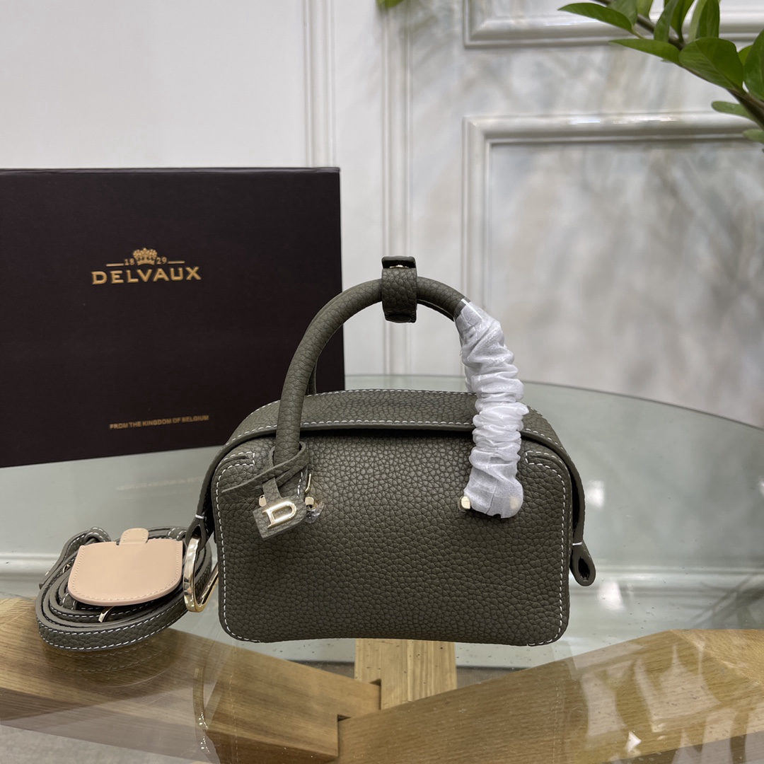 Delvaux Coolbox nano