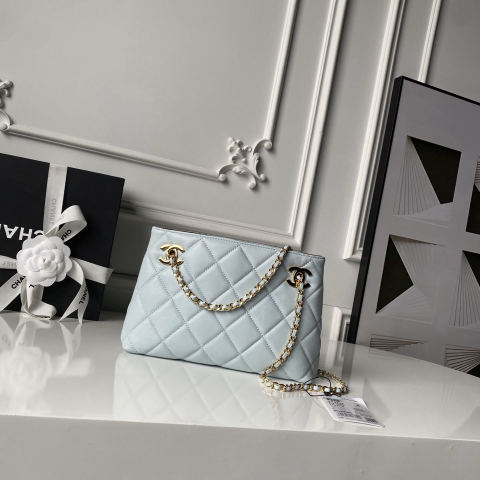 CHANEL Spring/Summer Collection Small Shopping Bag