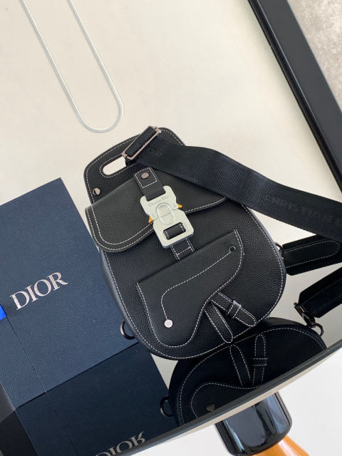 Christian Dior Gallop