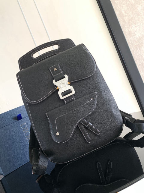 Christian Dior Gallop