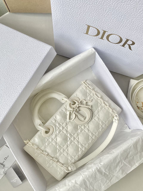 Christian Dior Dior D Joy bag