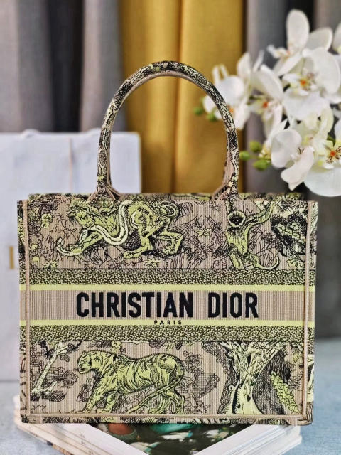 Christian Dior Book Tote