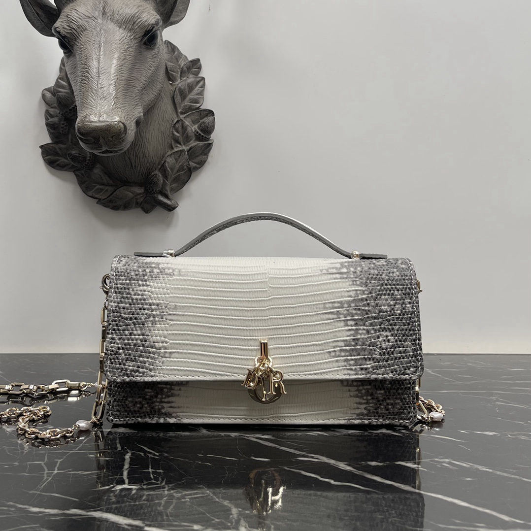 Christian Dior Top Handle Pouch
