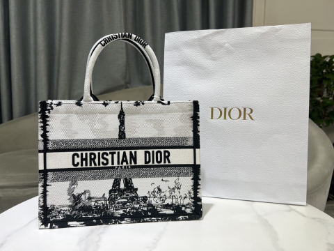 Christian Dior Book Tote