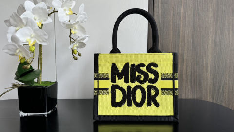 Christian Dior Book Tote