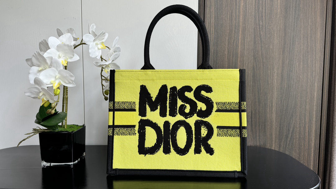 Christian Dior Book Tote