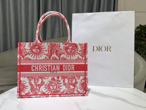 Christian Dior Book Tote