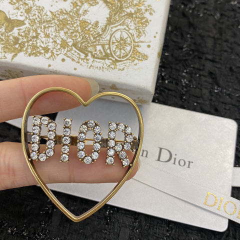 Dior brooch