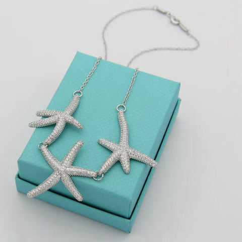 Tiffany necklace