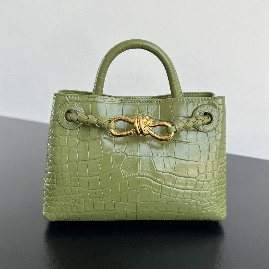 Bottega Veneta Andiamo Mini