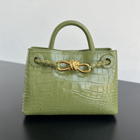 Bottega Veneta Andiamo Mini