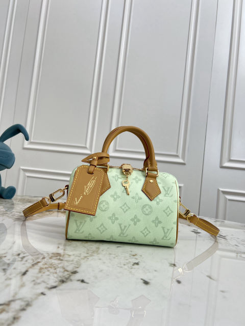 Speedy Bandouli��re 20 handbag