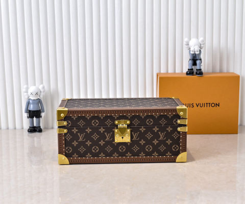 LOUIS VUITTON Hard Case