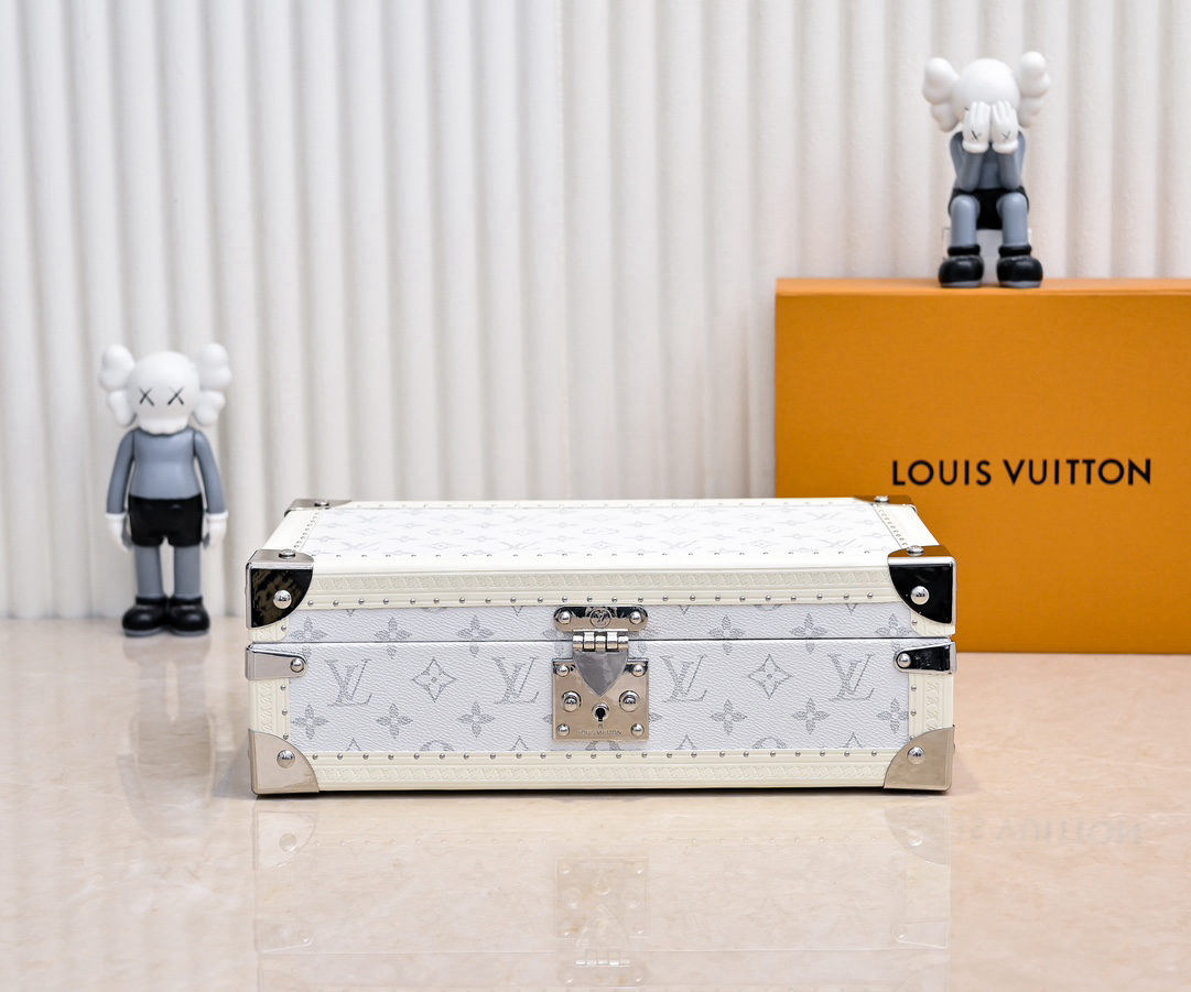 LOUIS VUITTON Hard Case