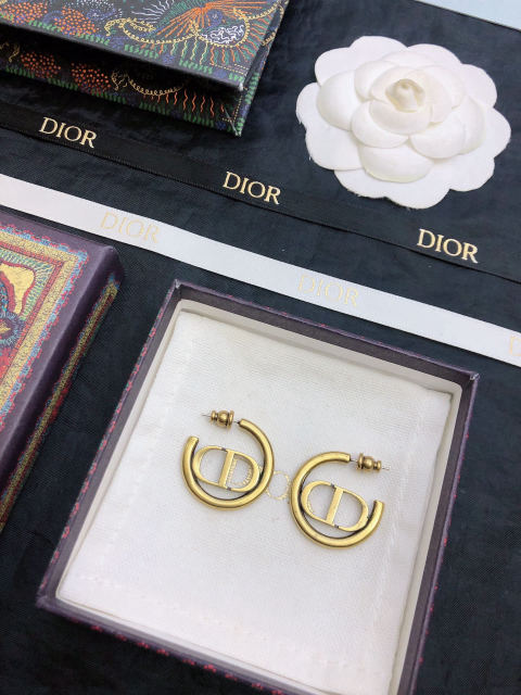 Dior letter earrings