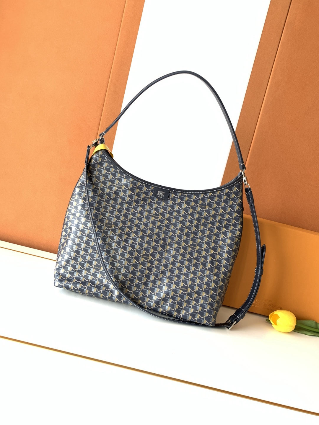 Moynat Hobo Bag