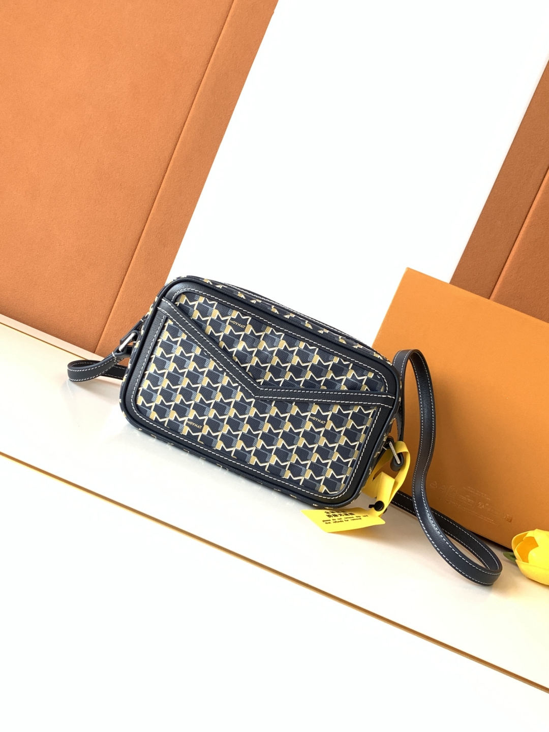 Moynat Camera Bag