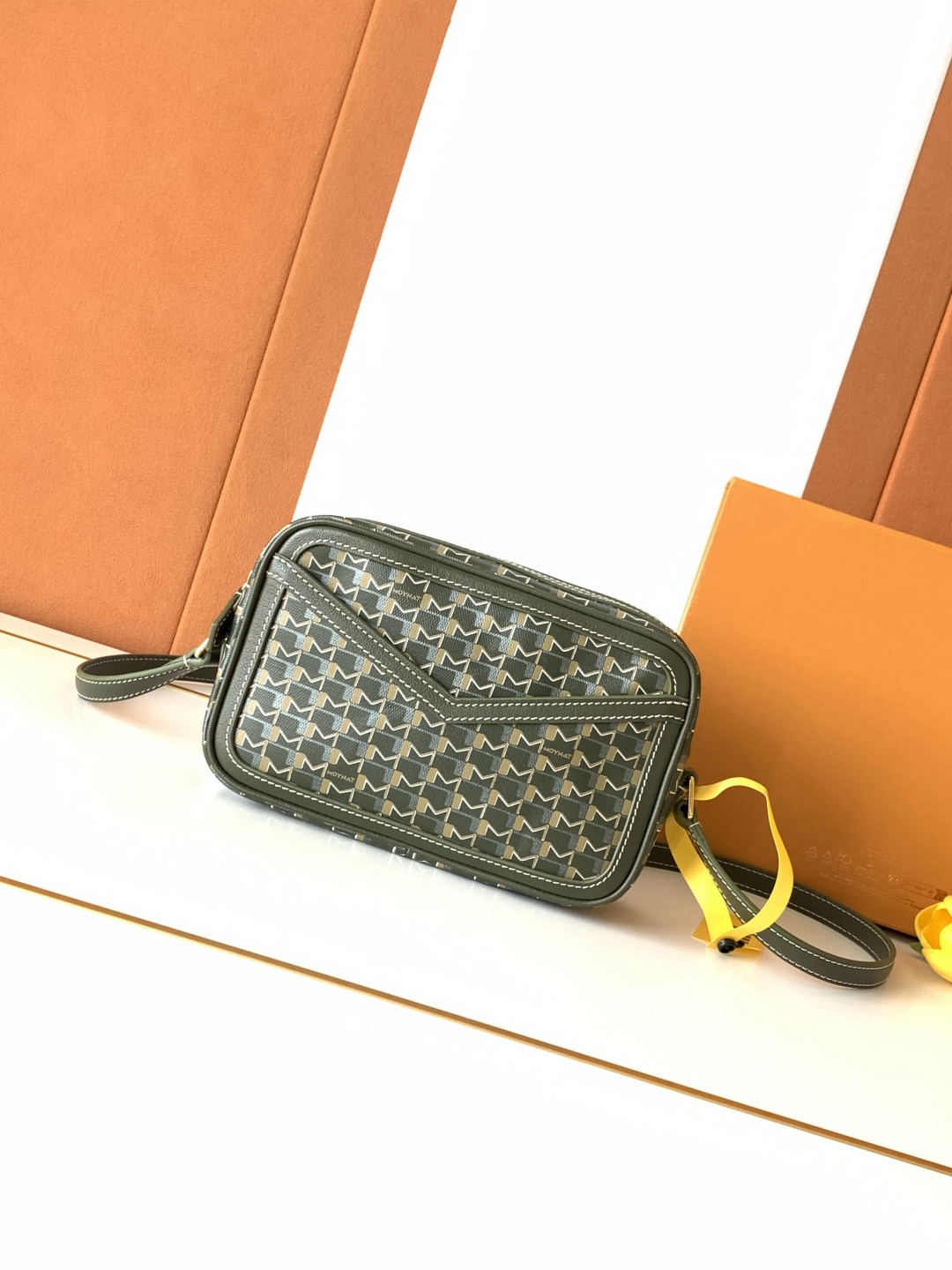 Moynat Camera Bag