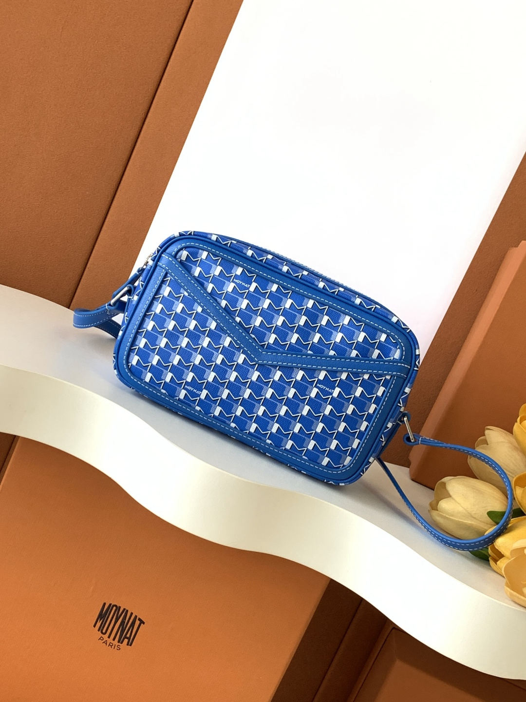 Moynat Camera Bag