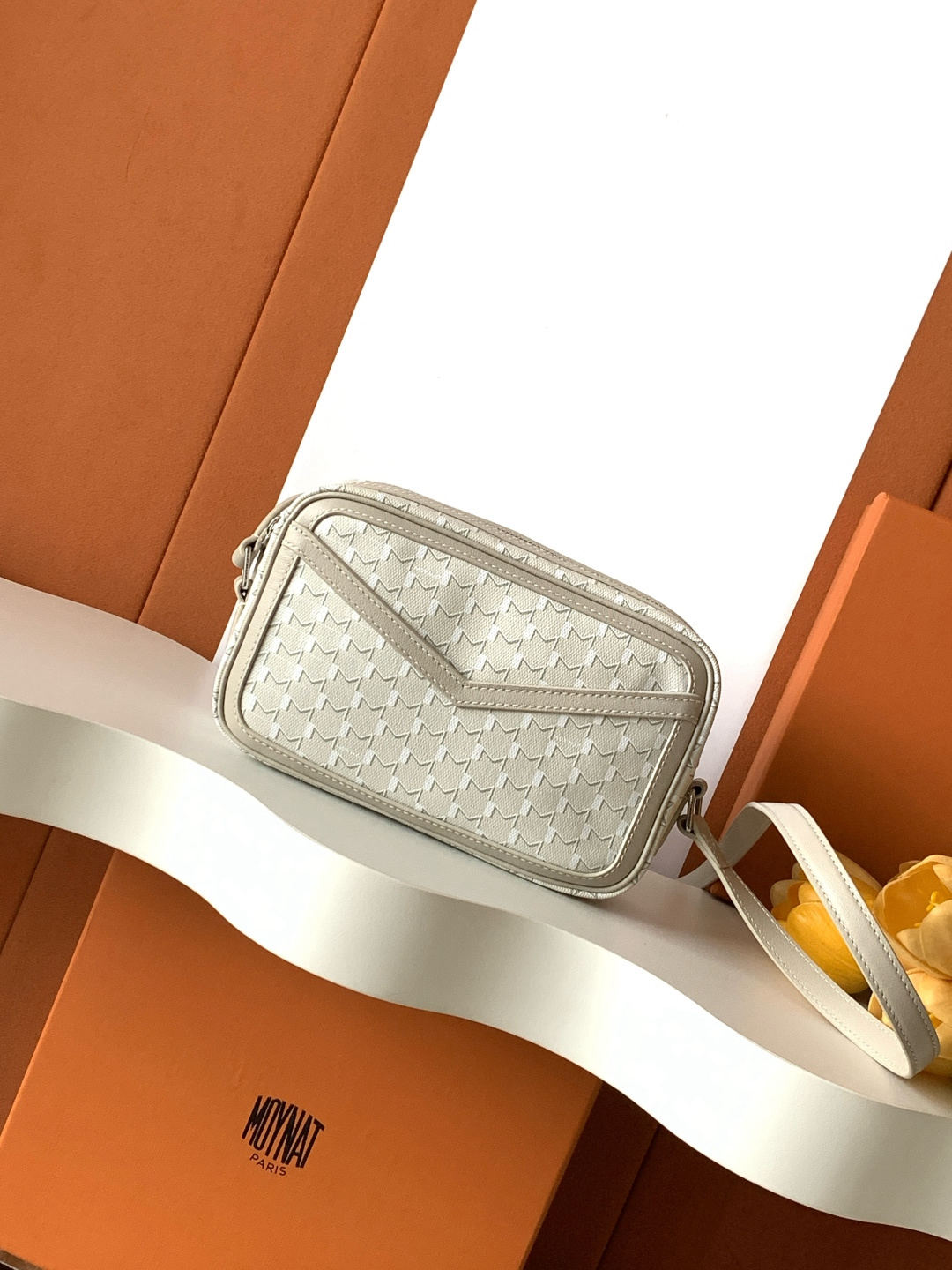 Moynat Camera Bag