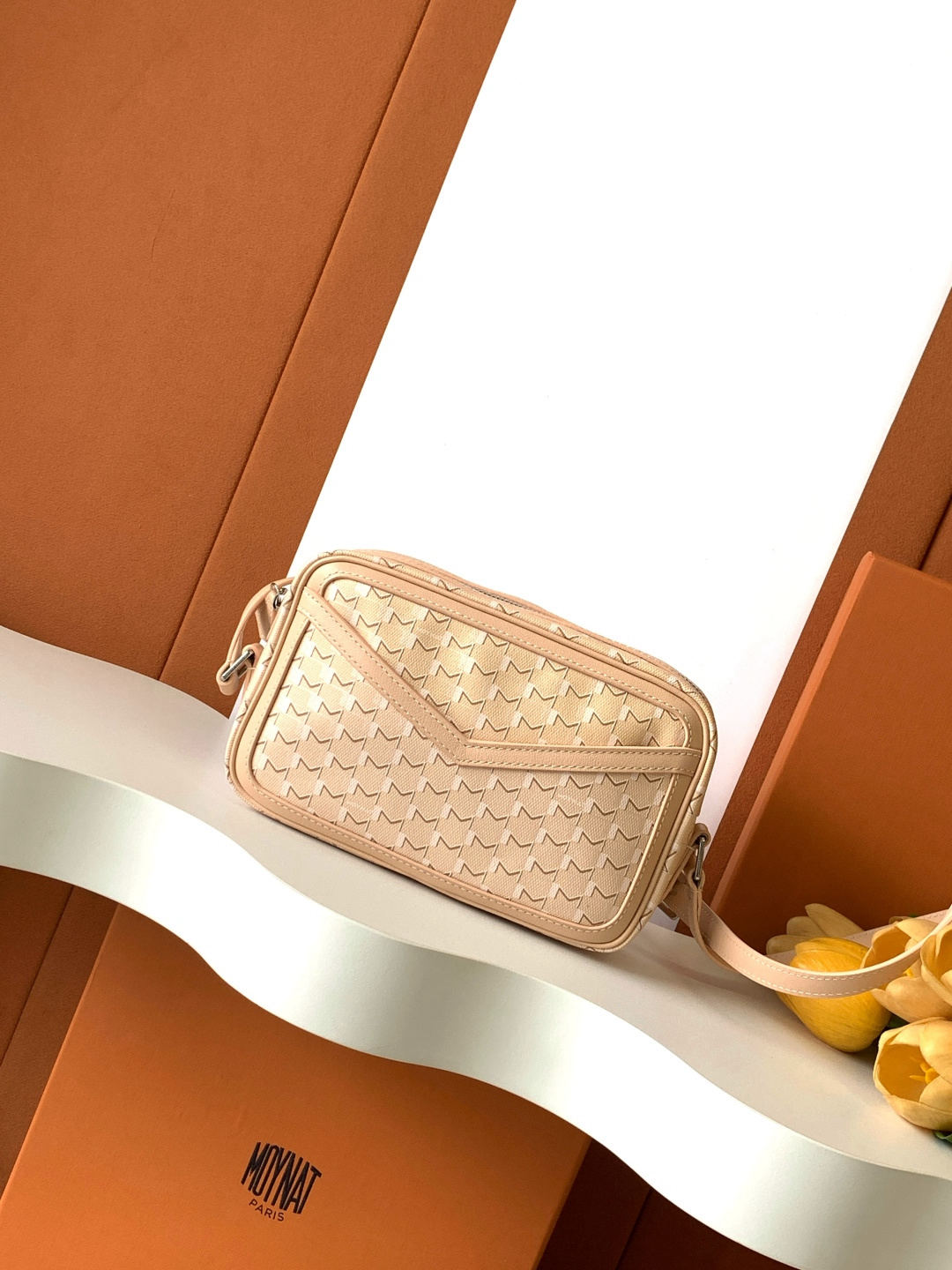 Moynat Camera Bag