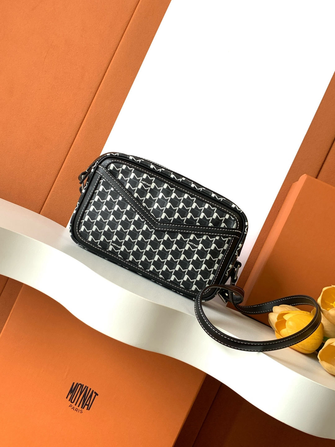 Moynat Camera Bag