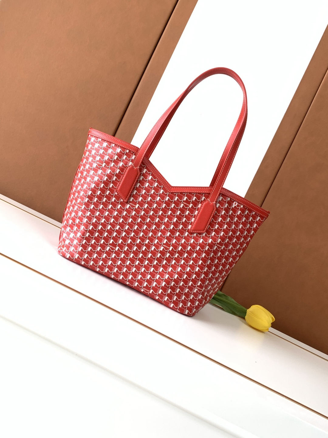 Moynat Canvas Tote Bag