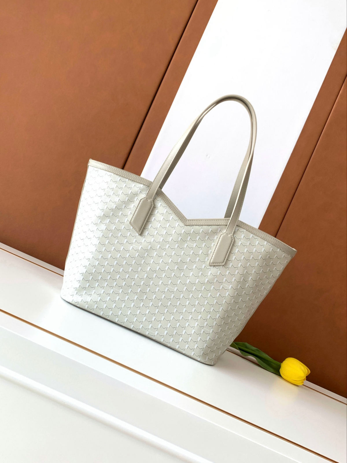 Moynat Canvas Tote Bag