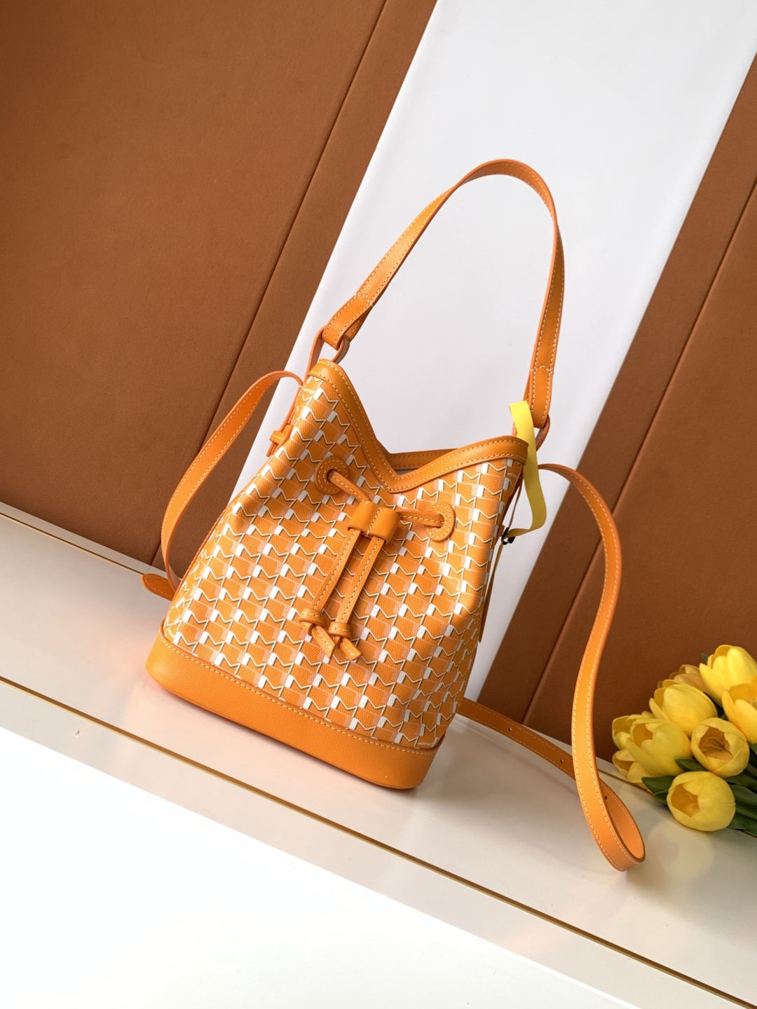 Moynat Canvas Bucket Bag