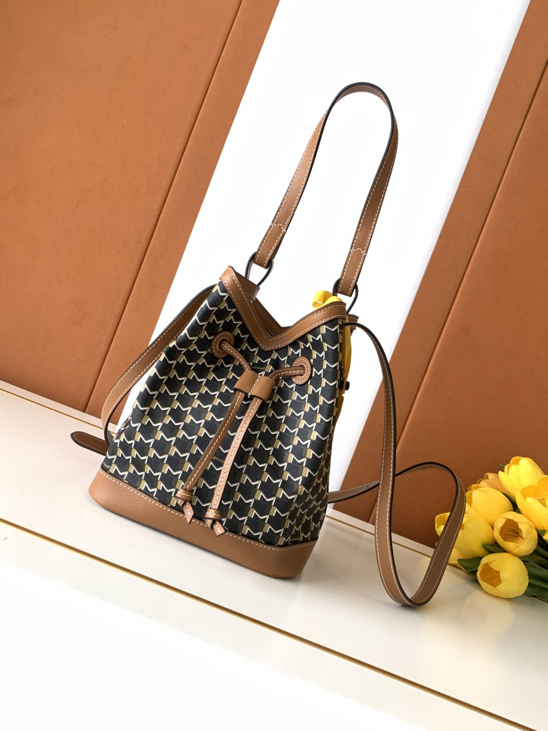 Moynat Canvas Bucket Bag