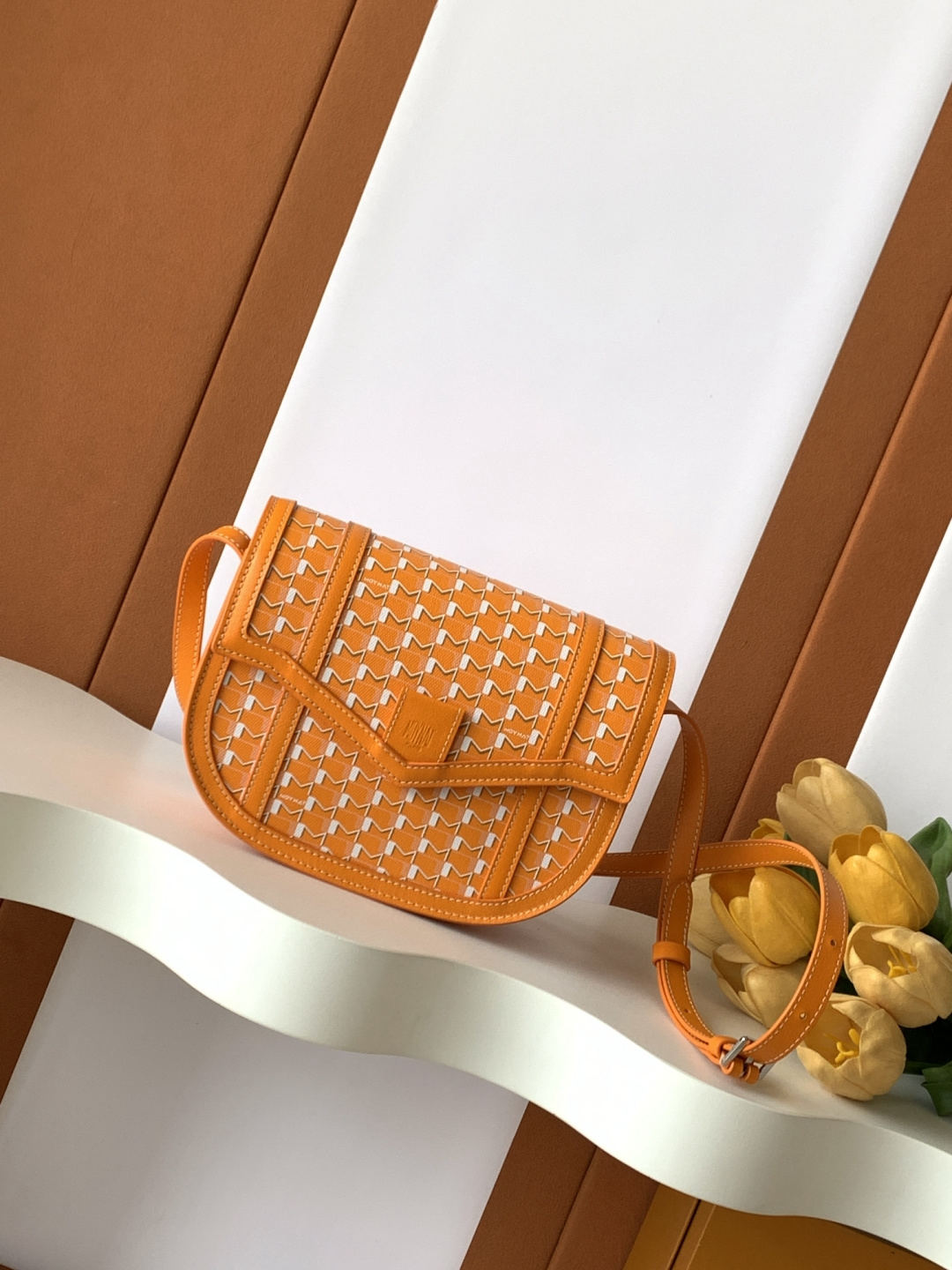 Moynat Canvas Saddle Bag