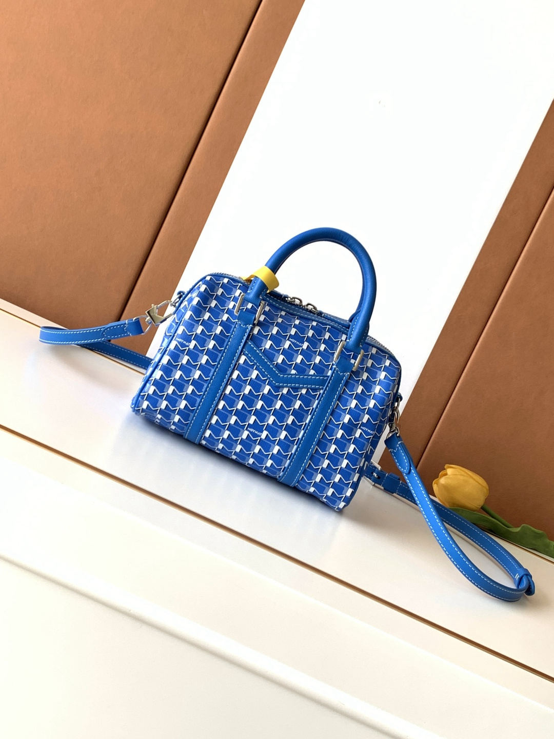 Moynat Canvas 48H Travel Bag